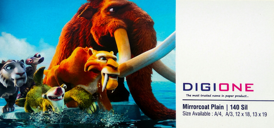 Mirror Coat Stickers